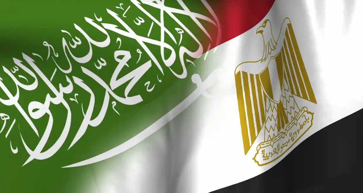 شركة الماسة للأمن والخدمات ش.م.م - أمن وحراسة - خدمات امنية