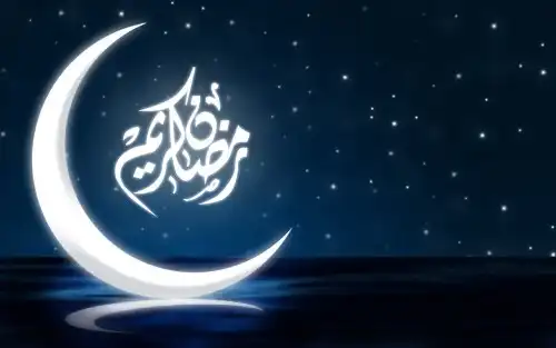 شركة الماسة للأمن والخدمات ش.م.م - أمن وحراسة - خدمات امنية